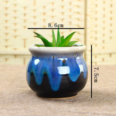 Porcelain Succulent Pots For Home Garden