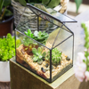 Beautiful House-shaped Glass Terrarium for your home garden.