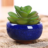 Set Of 8 - Glazzy Succulent Pots