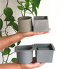 Cement Molds Succulent Plants Pot