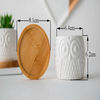 Ceramic White Owl Flower Pots With Bamboo Tray Holder (Set Of 2)