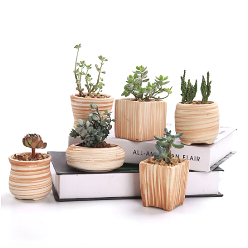https://esucculent.com/cdn/shop/products/Ceramic_Wooden_Pattern_Succulent_Plant_Pot1_900x.png?v=1579503826
