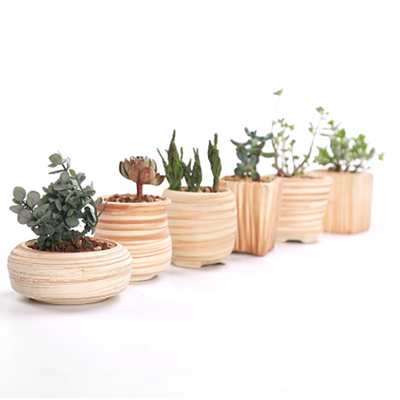 Ceramic Wooden Pattern Succulent Plant Pots