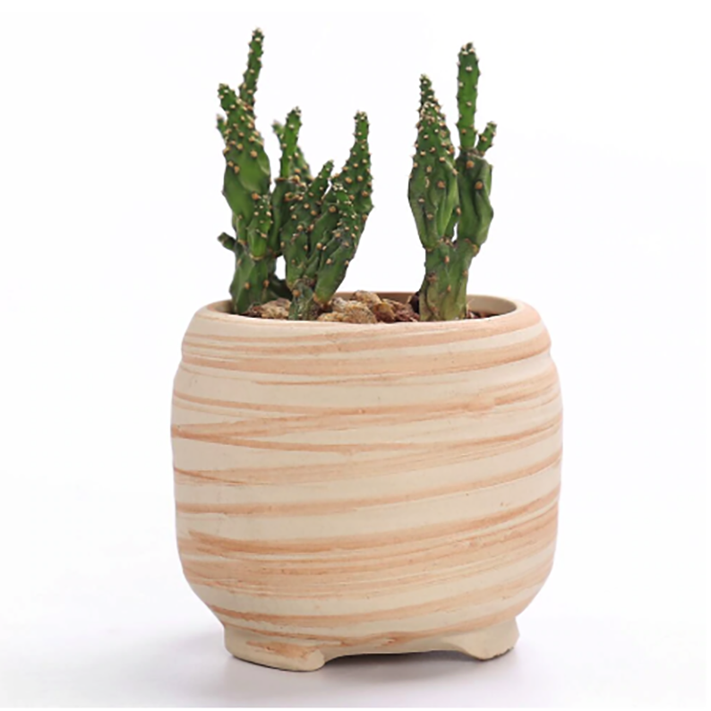 https://esucculent.com/cdn/shop/products/Ceramic_Wooden_Pattern_Succulent_Plant_Pot4_2000x.png?v=1579503808