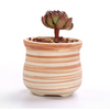 Ceramic Wooden Pattern Succulent Plant Pots