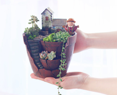 Creative Resin Decorative Succulent Plant Pot