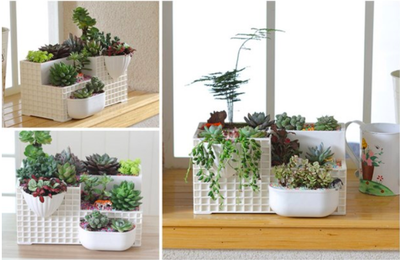 Creative Resin Flower Pot for Succulent Plants