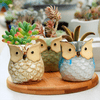 Cute Wise Owl Flower Pots