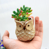 Cute Wise Owl Flower Pots
