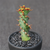 Euphorbia Tortiyama
