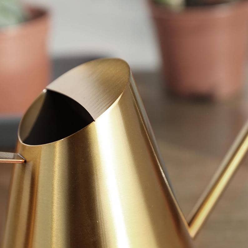 Gold Watering Can eSucculent