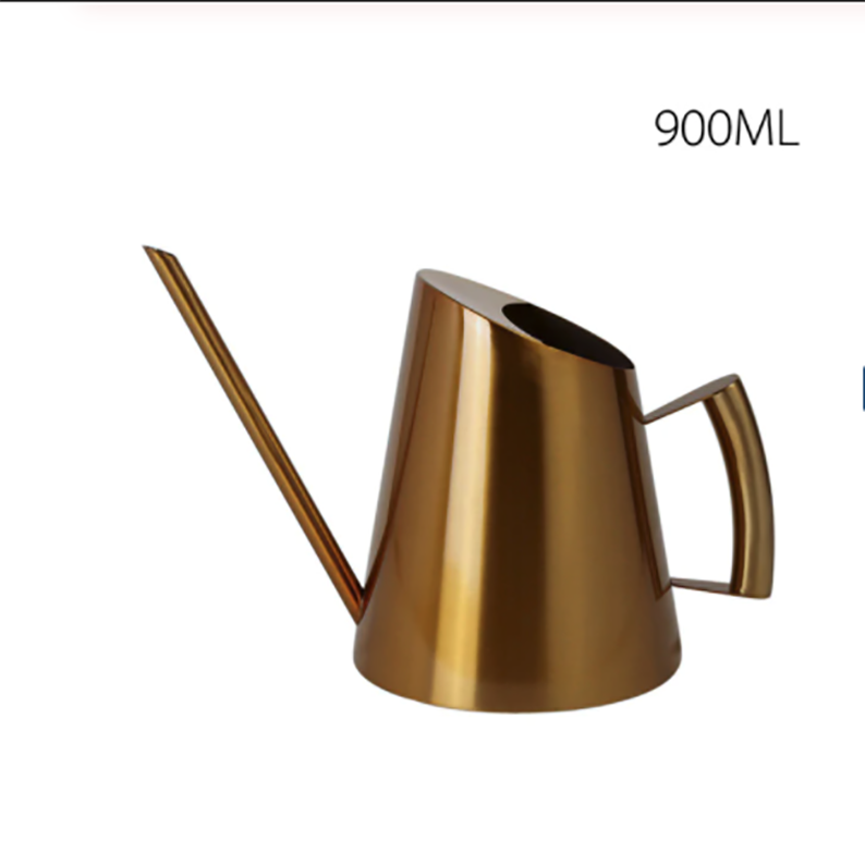 Gold Watering Can eSucculent