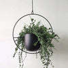 Iron Hanging Flower Garden Pot