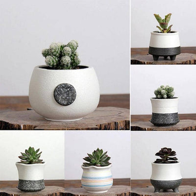 Korean Style Planter Pots