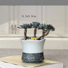 Korean Style Planter Pots