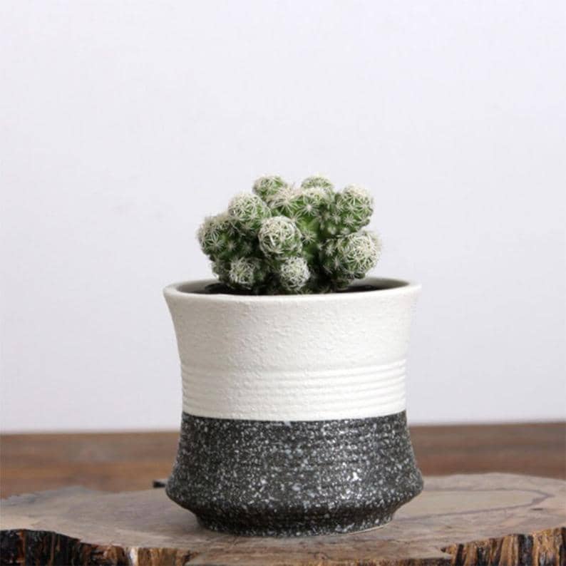 Korean Ceramic Flowery Succulent Planter, Home Plant Pot, Indoor Plant -  Kyoot Kitchen