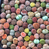 Colorful Lithops ( A Pack Of 9)