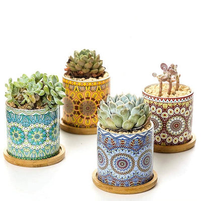 Mandala Succulent Ceramics Plant Flower Pots Set
