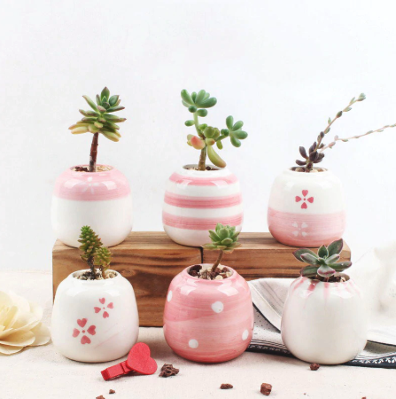 https://esucculent.com/cdn/shop/products/Mini_Pink_Succulent_Ceramic_Pots_Set_Of_6_2_600x.png?v=1566058889