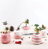 Mini Pink Succulent Ceramic Pots (Set Of 6)
