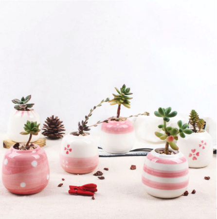https://esucculent.com/cdn/shop/products/Mini_Pink_Succulent_Ceramic_Pots_Set_Of_6_5_600x.png?v=1566058889