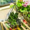 Modern Geometric Hanging Clear Glass Diamond Flower Pots