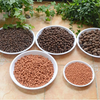 Organic Ceramsite - Effective Succulent Plant Nutrient Soil Fertilizer