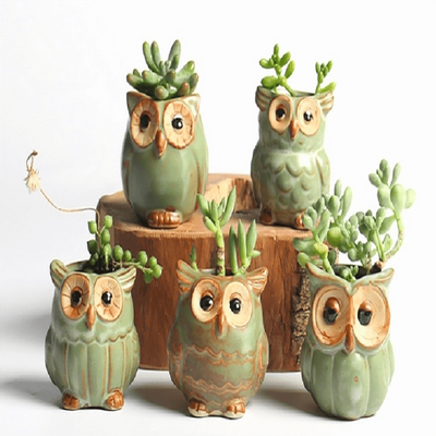 Owl Shape Plant Flower Pots ( Set of 5 )