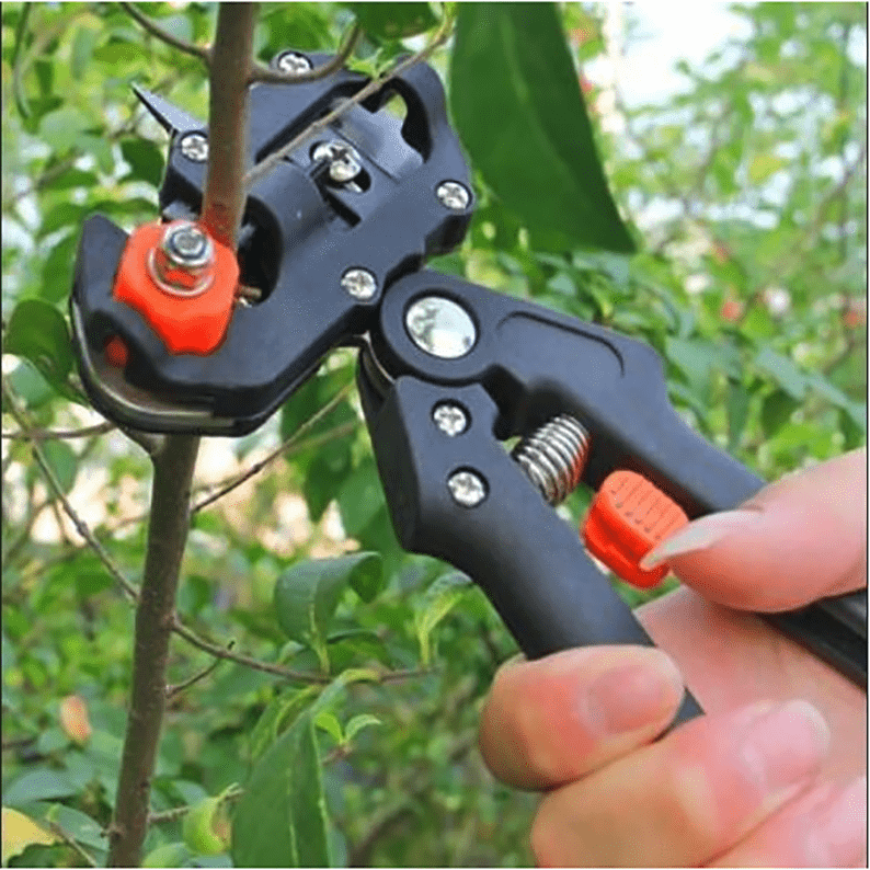 PLANTS GRAFTING TOOL
