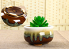 Porcelain Succulent Pots For Home Garden