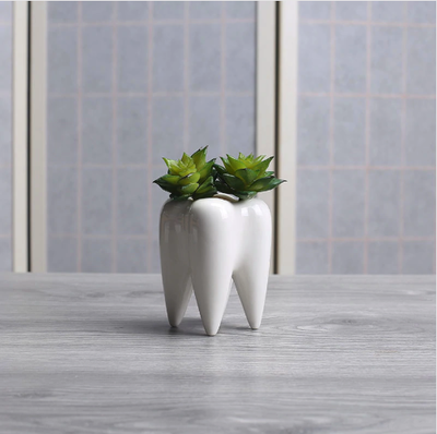 Tooth Shape White Ceramic Succulent Pot