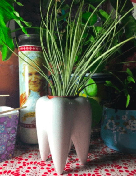 Mini Pink Succulent Ceramic Pots (Set Of 6) - eSucculent