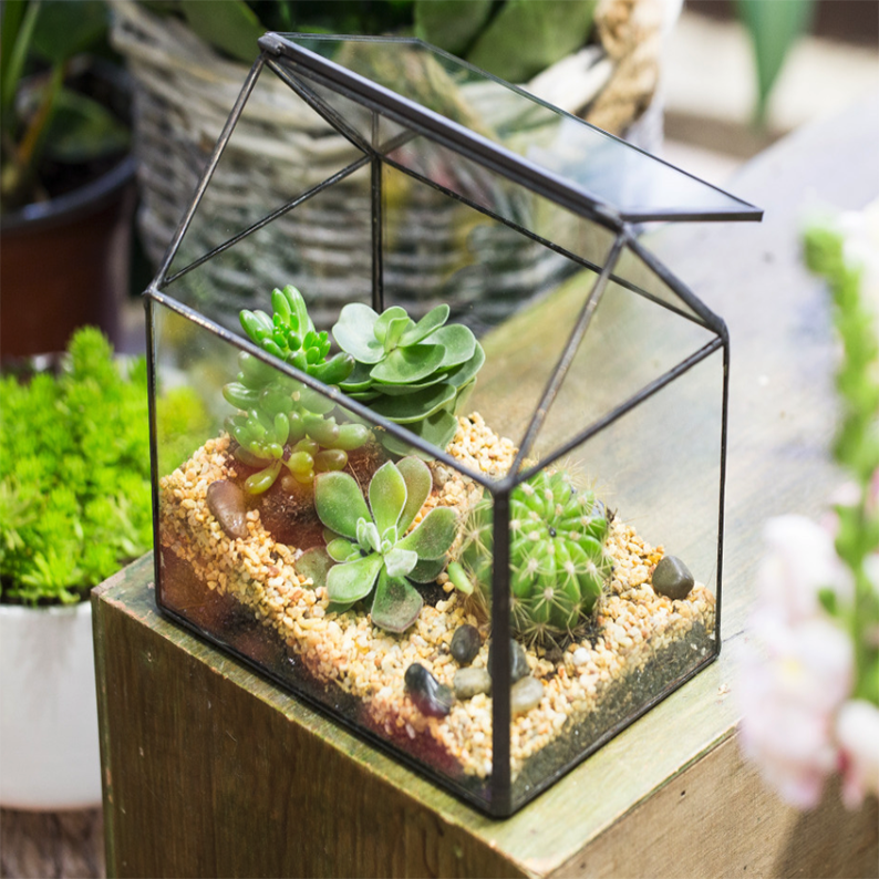 Coffee table terrarium  Better Homes and Gardens