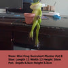 Mini Frog Succulent Planter Pot